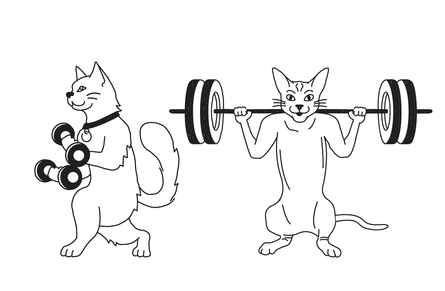 Weightlifting dogs